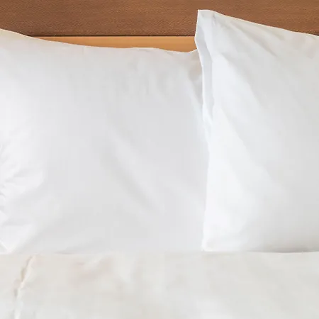 Express - By Ihg Ringsheim